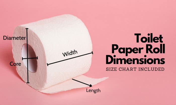 toilet paper roll circumference